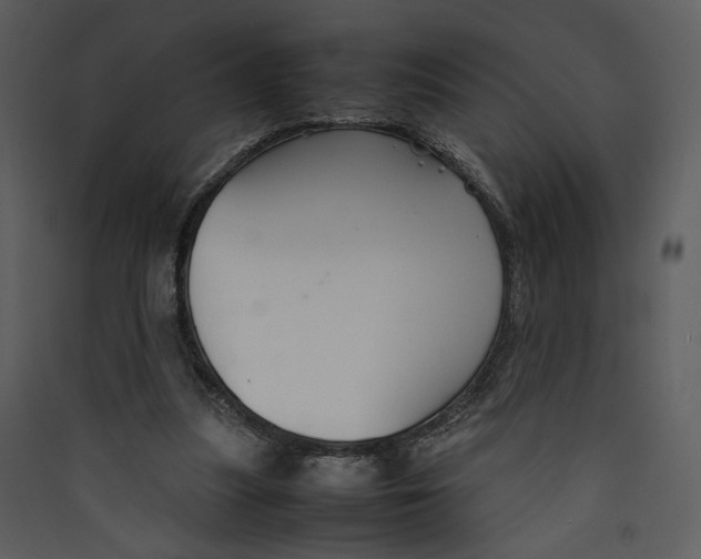 X0000089360251200707131621