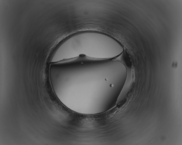 X0000089360252200707131621
