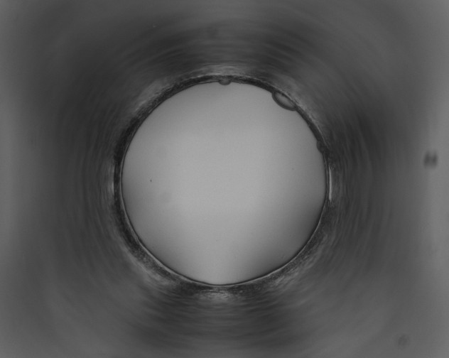 X0000089360253200707131621