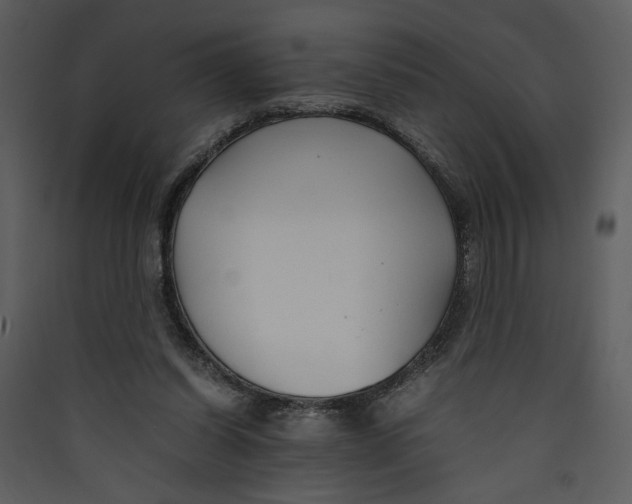 X0000089360254200707131621
