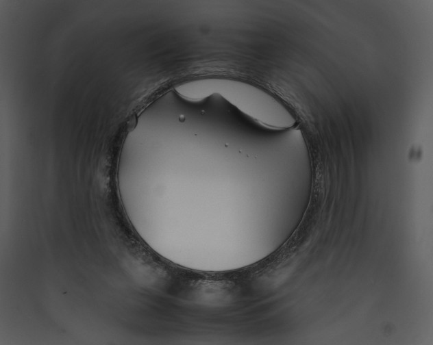 X0000089360255200707131621