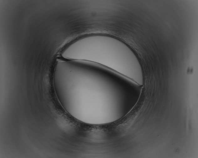 X0000089360256200707131621