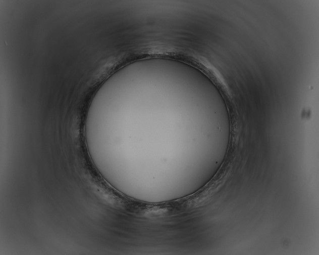 X0000089360257200707131621