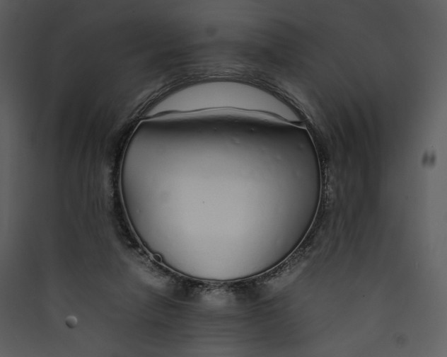 X0000089360258200707131621