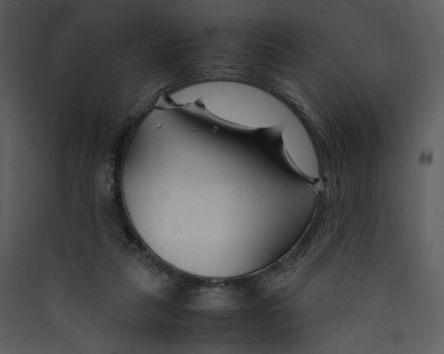 X0000089360259200707131621
