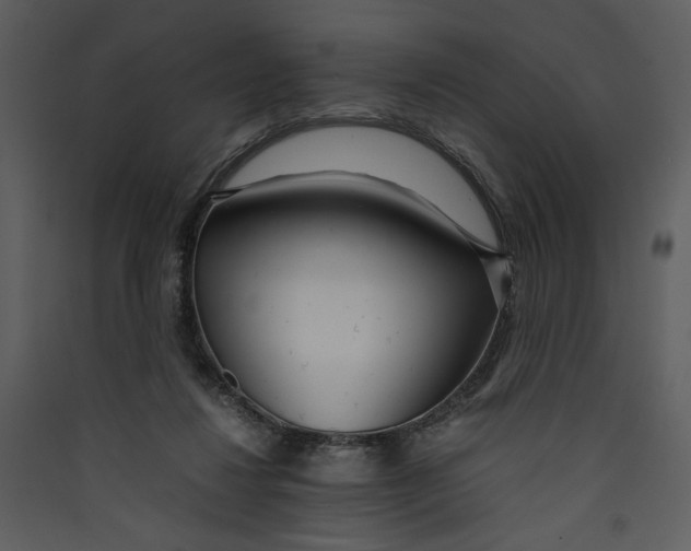X0000089360260200707131621