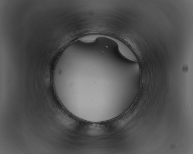 X0000089360261200707131621