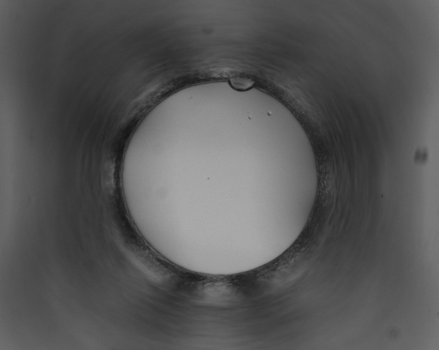 X0000089360262200707131621