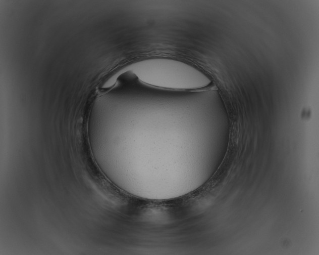 X0000089360263200707131621