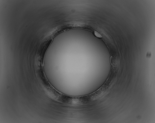 X0000089360264200707131621