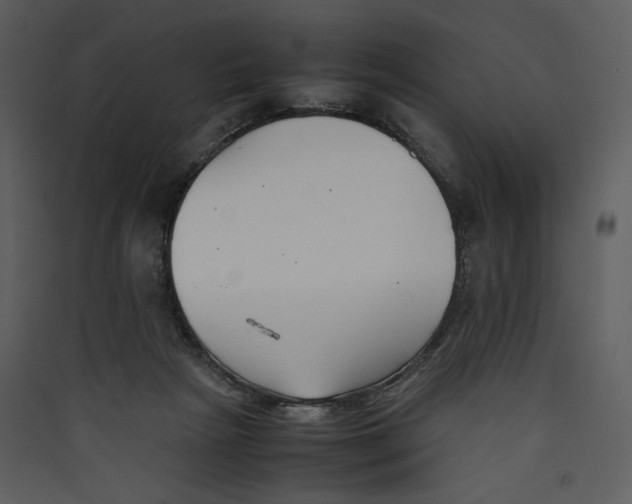 X0000089360265200707131621