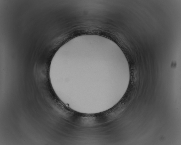 X0000089360266200707131621