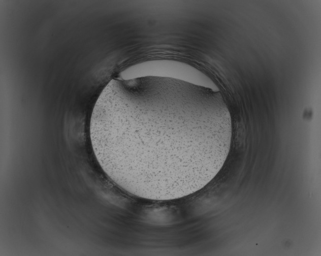 X0000089360267200707131621