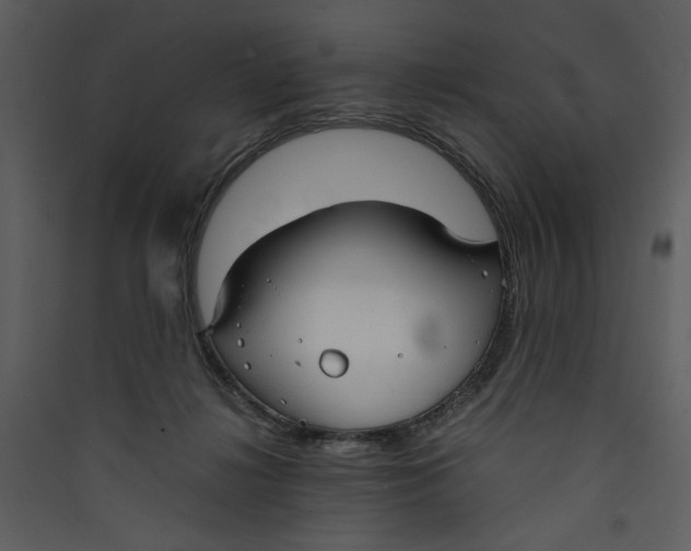X0000089360268200707131621
