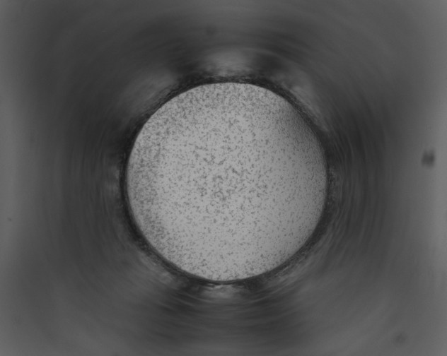 X0000089360269200707131621