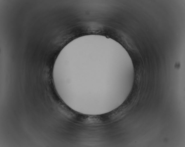 X0000089360270200707131621