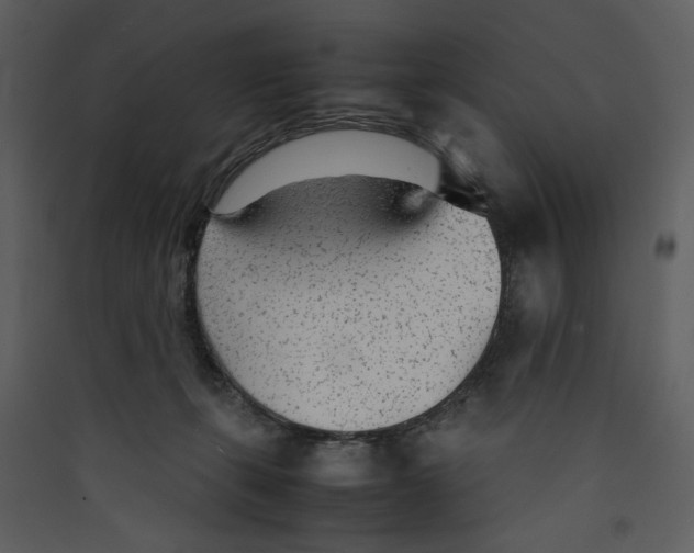 X0000089360271200707131621