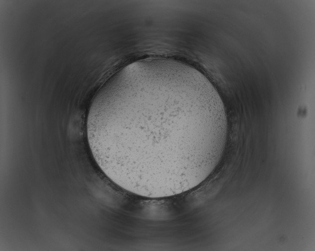 X0000089360273200707131621