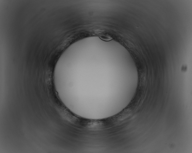 X0000089360274200707131621