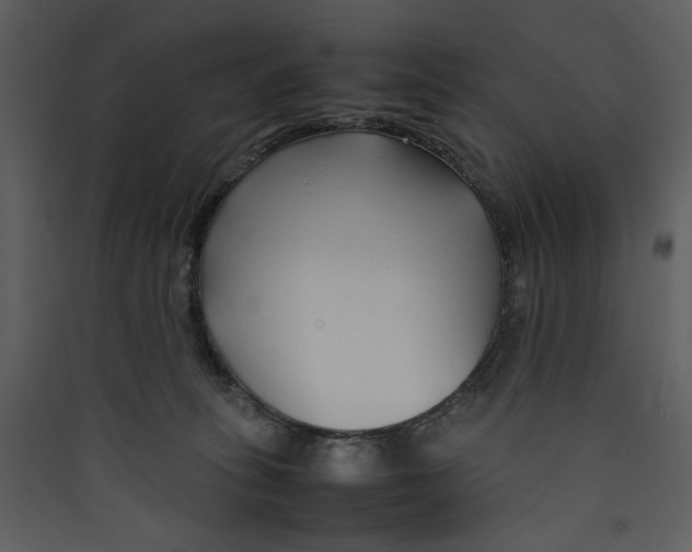 X0000089360275200707131621