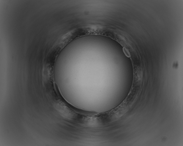 X0000089360276200707131621