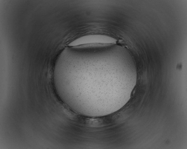 X0000089360277200707131621