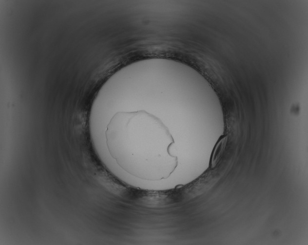 X0000089360278200707131621