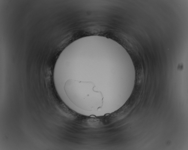 X0000089360279200707131621