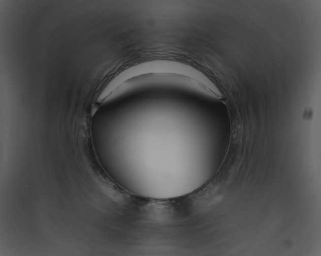 X0000089360280200707131621