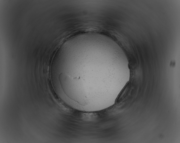 X0000089360281200707131621
