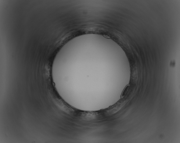 X0000089360282200707131621