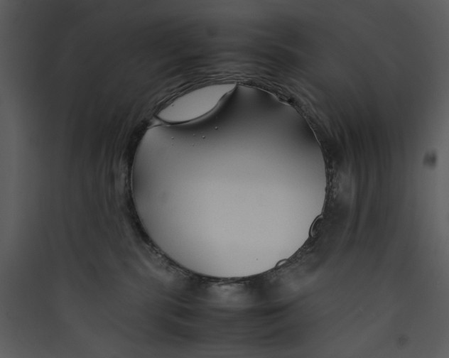 X0000089360283200707131621