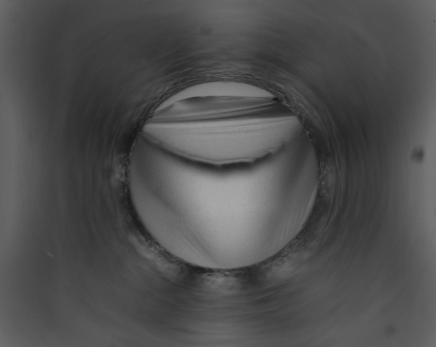 X0000089360284200707131621