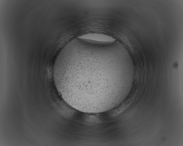 X0000089360285200707131621