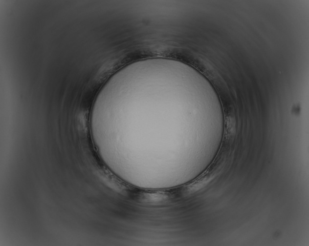 X0000089360286200707131621