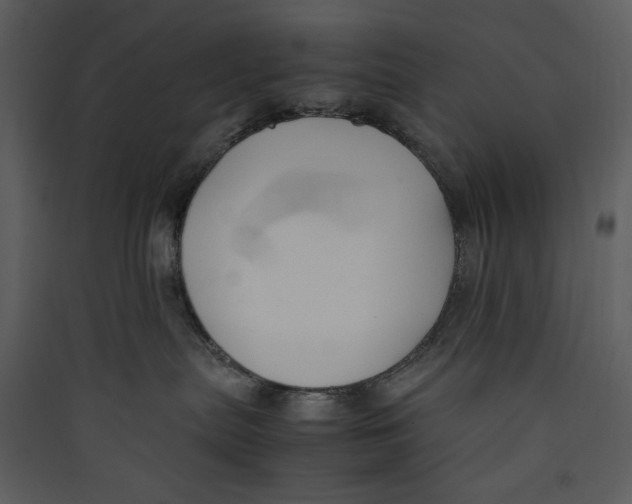 X0000089360287200707131621