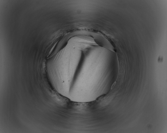 X0000089360288200707131621