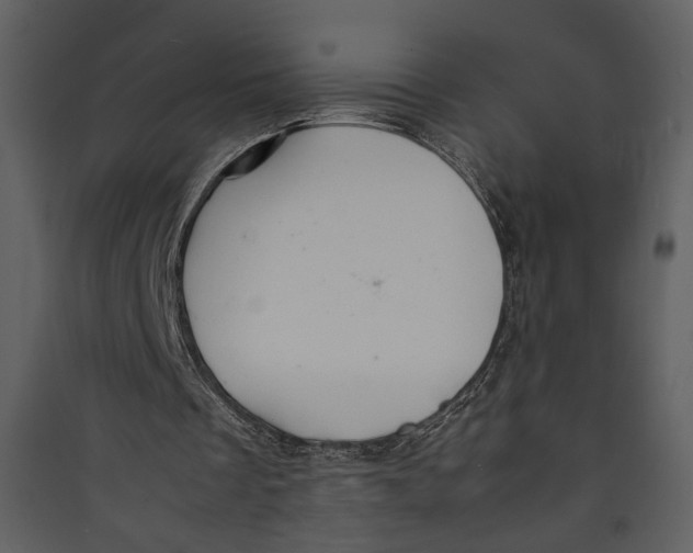 X0000089360289200707131620