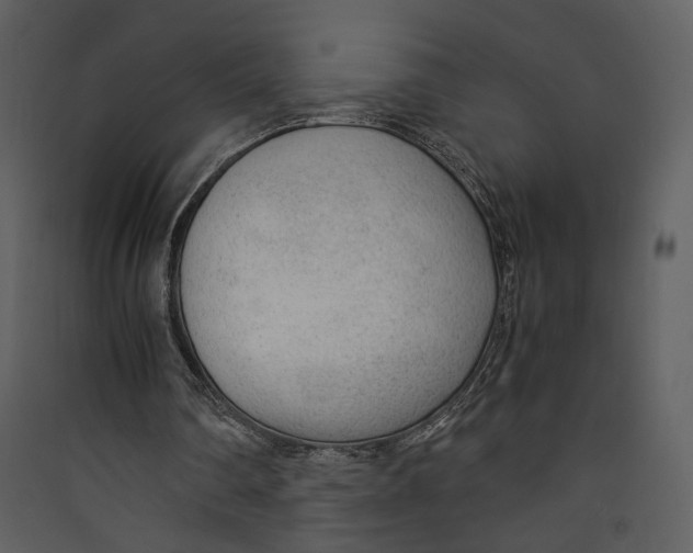 X0000089360290200707131620