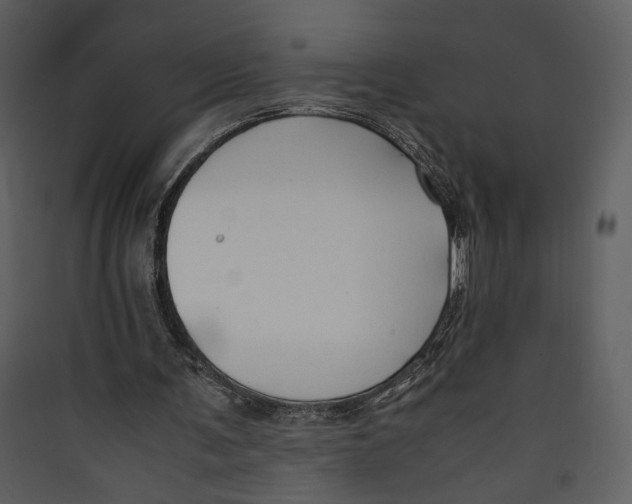 X0000089360291200707131620