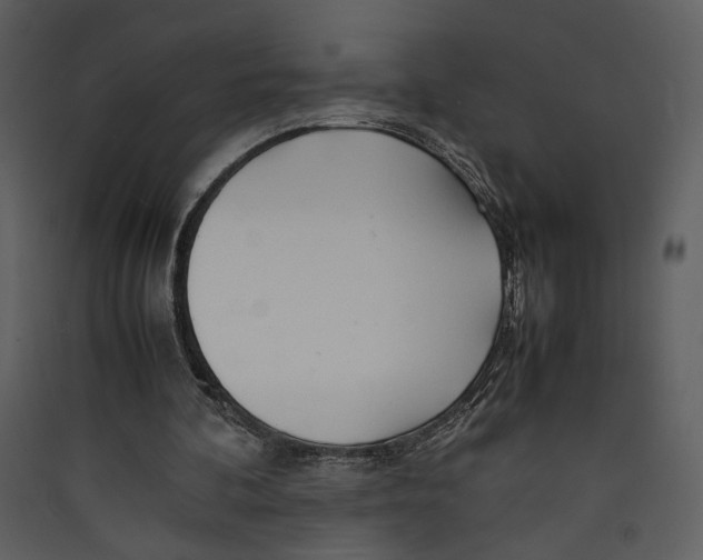 X0000089360292200707131620
