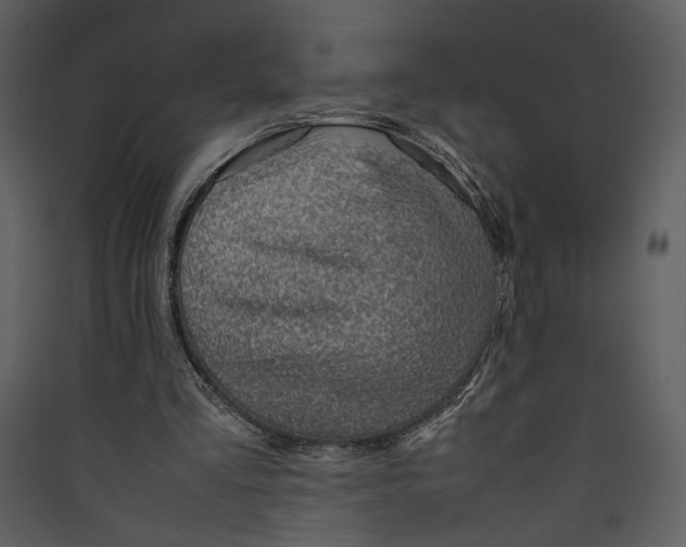 X0000089360293200707131620