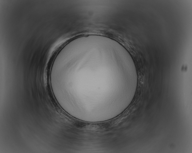 X0000089360294200707131620