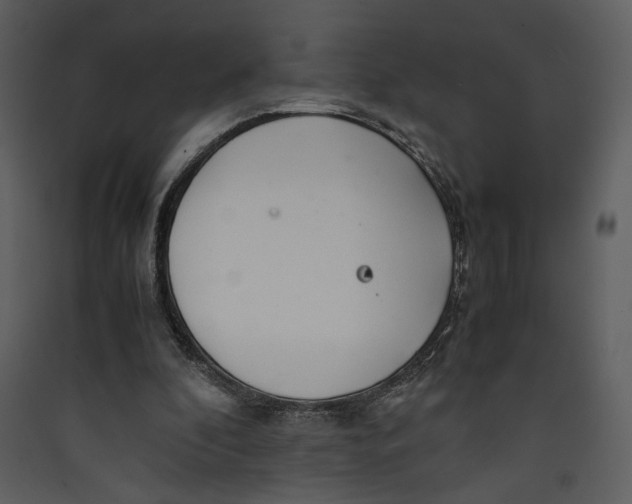X0000089360296200707131620