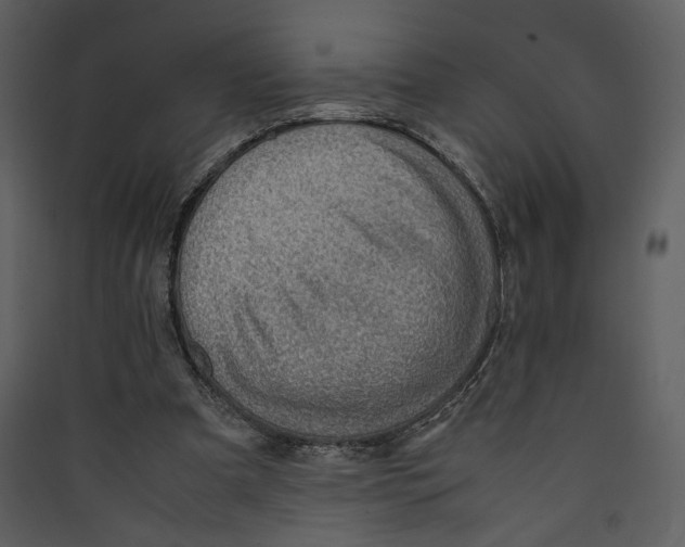 X0000089360297200707131620