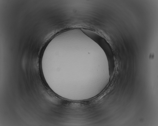 X0000089360298200707131620