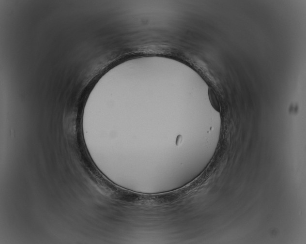 X0000089360299200707131620