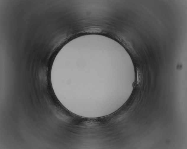 X0000089360300200707131620