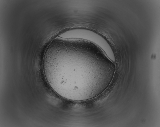 X0000089360303200707131620