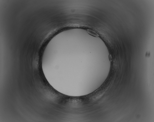 X0000089360304200707131620
